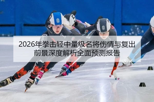 2026年拳击轻中量级名将伤情与复出前景深度解析全面预测报告